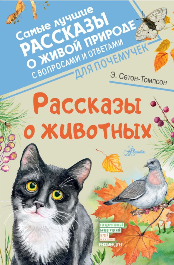 Сочинение О Диком Животном Или Птице Сочинение О Диком Животном Или Птице