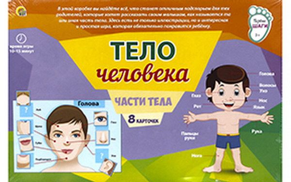 Игра настольная. Тело человека : Настольные игры : 4665303164406 ...