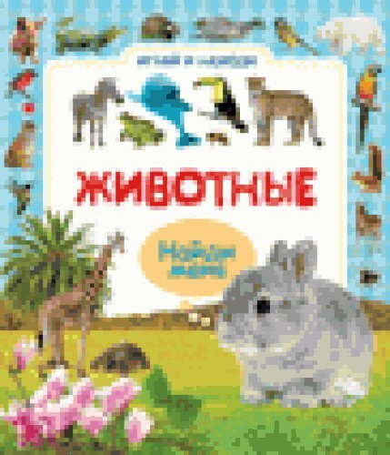 Книга росмэн играй и находи животные картонка (9785353078753)