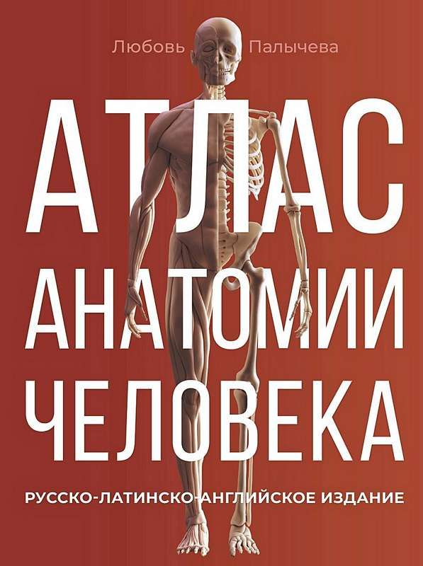 Атлас анатомии человека. Русско-латинско-английское издание : Атлас ...