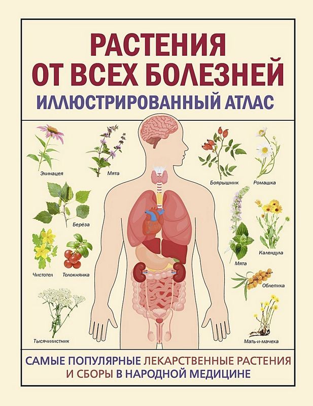 Растения от всех болезней. Иллюстрированный атлас : Азбука здоровья ...