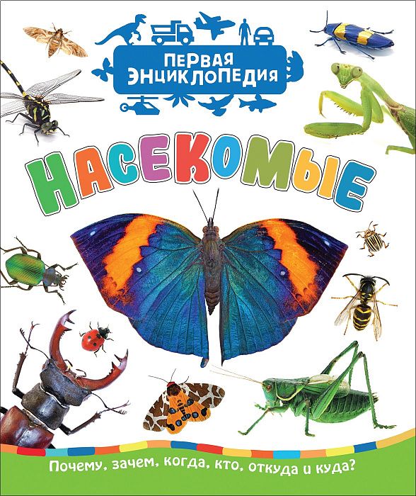 Насекомые (Первая энциклопедия) : Первая энциклопедия малыша : Клюшник ...