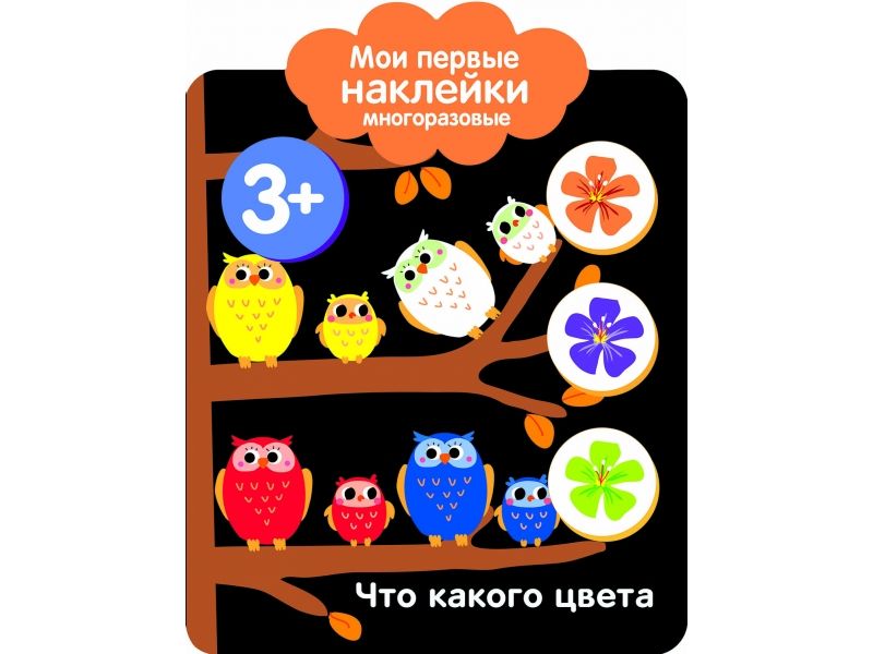 Книга Стрекоза Мои первые наклейки многоразовые 3+ Что какого цвета ...