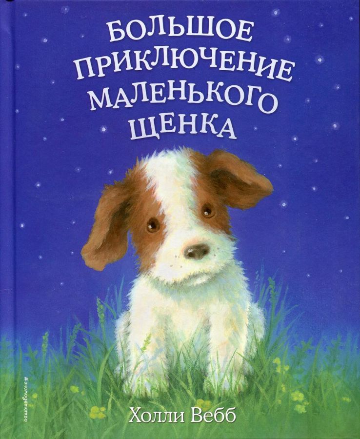 Большое приключение маленького щенка (выпуск 1) : Детск. Холли Вебб ...