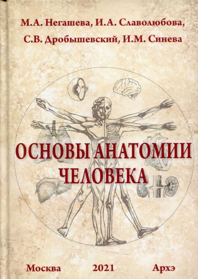 Основы анатомии человека. Учебное пособие : Негашева Марина Анатольевна ...