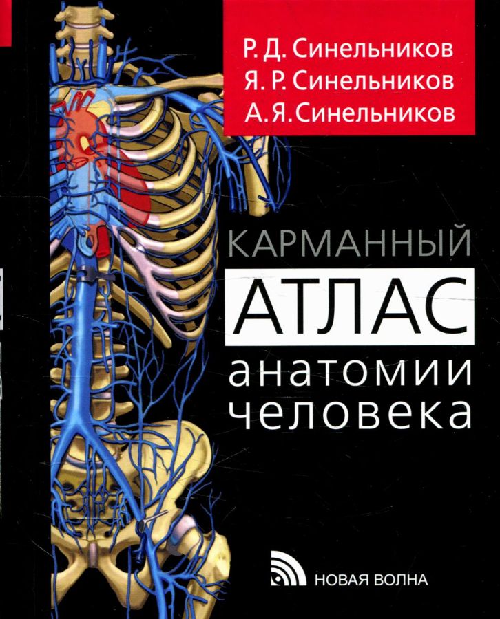 Карманный атлас анатомии человека : Синельников Р.Д., Синельников Я.Р ...