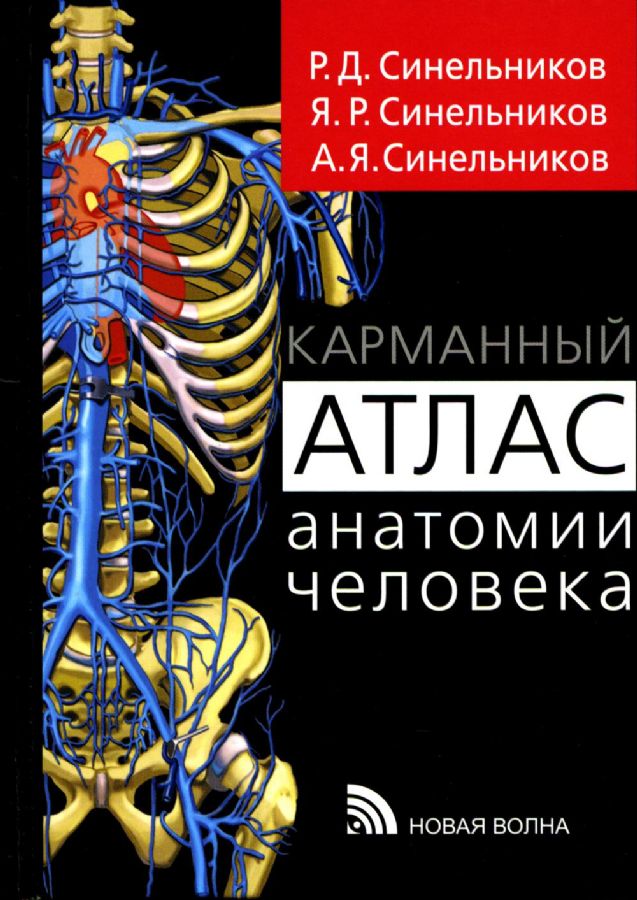 Карманный атлас анатомии человека: Учебное пособие : Синельников Р.Д ...