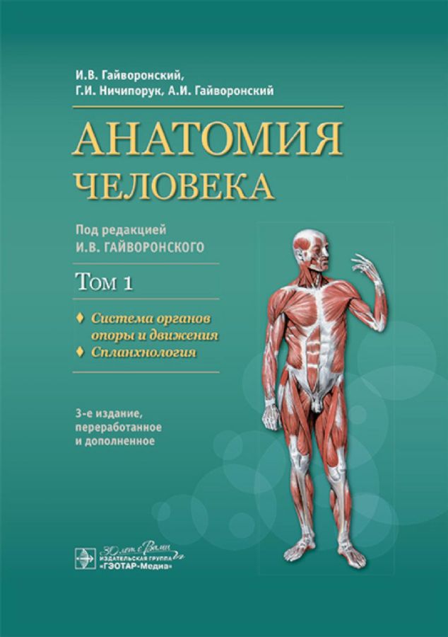 Анатомия человека : учебник : в 2 т. / И. В. Гайворонский, Г. И ...