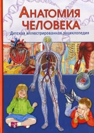 Анатомия человека. Детская иллюстрир. энциклопедия : Отдельные издания ...