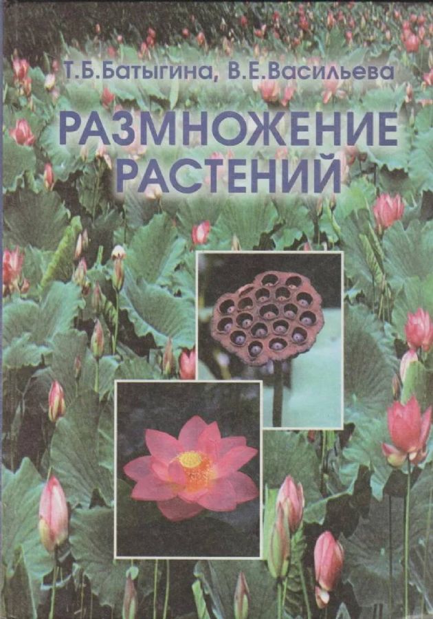 Размножение растений: учебник : Т. Б. Батыгина, В. Е. Васильева ...