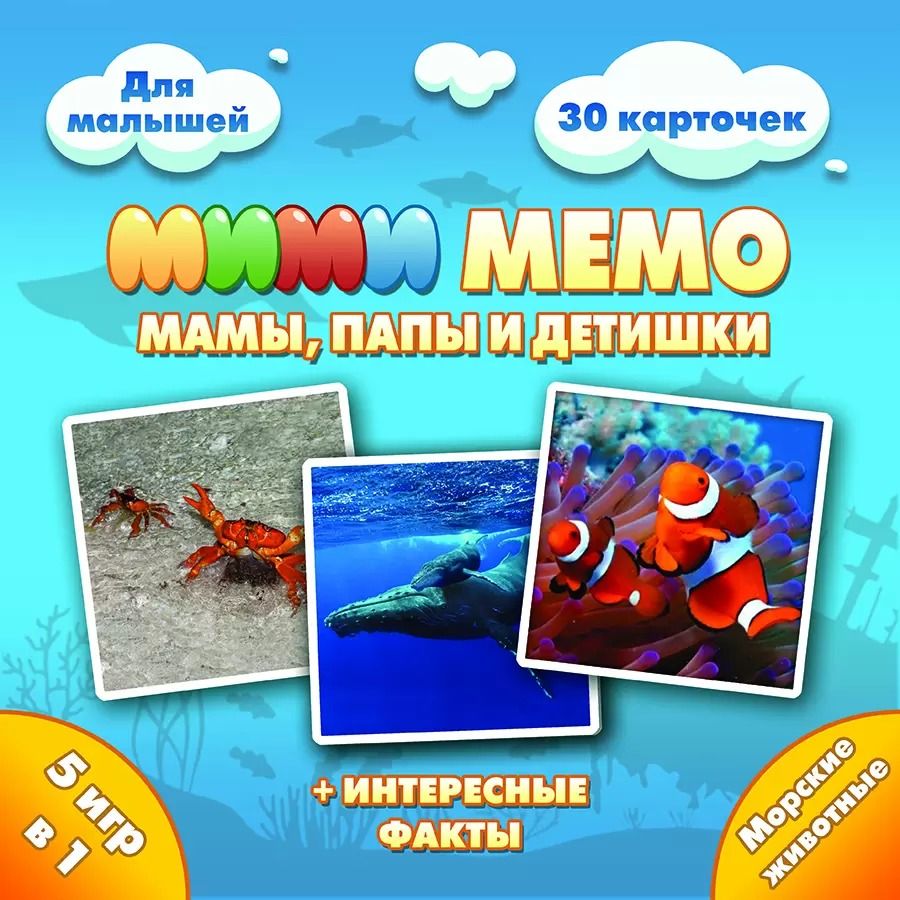 Морские Животные Фото Для Детей